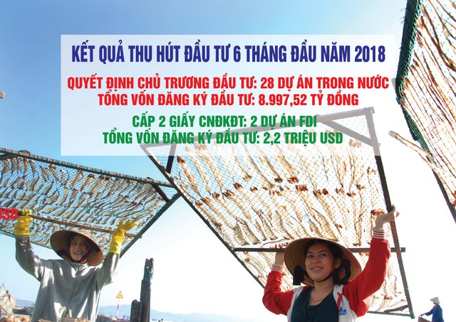 Giao lưu trực tuyến với lãnh đạo UBND tỉnh Phú Yên: Cơ hội đầu tư vào Phú Yên ảnh 111